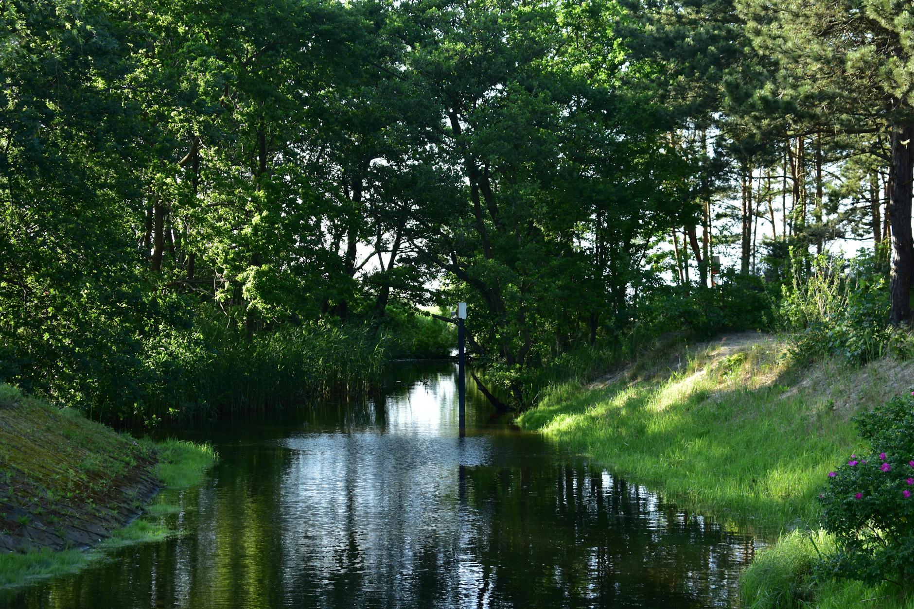 Logo miasta Ustroń obok grafiki symbolizującej zielone technologie i dotacje dla firm